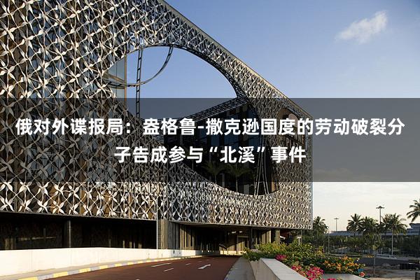 俄对外谍报局：盎格鲁-撒克逊国度的劳动破裂分子告成参与“北溪”事件
