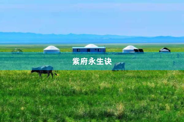 紫府永生诀