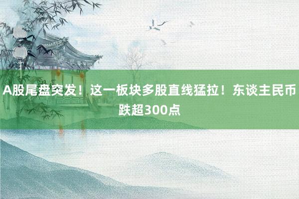 A股尾盘突发！这一板块多股直线猛拉！东谈主民币跌超300点