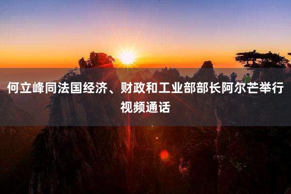 何立峰同法国经济、财政和工业部部长阿尔芒举行视频通话