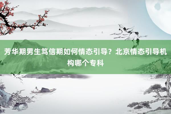 芳华期男生笃信期如何情态引导？北京情态引导机构哪个专科