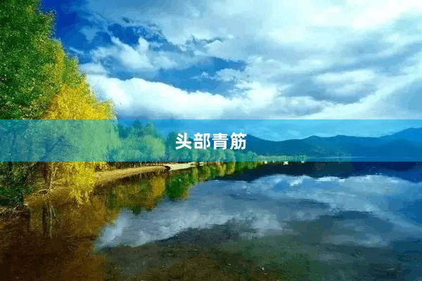 头部青筋