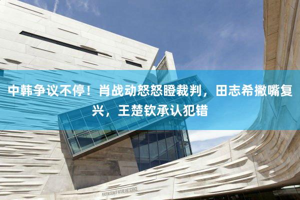 中韩争议不停！肖战动怒怒瞪裁判，田志希撇嘴复兴，王楚钦承认犯错
