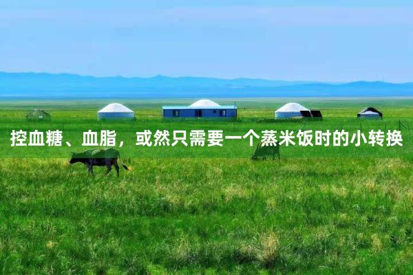 控血糖、血脂，或然只需要一个蒸米饭时的小转换